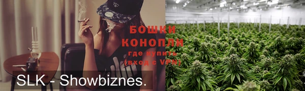 ECSTASY Белокуриха