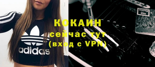 ECSTASY Белокуриха