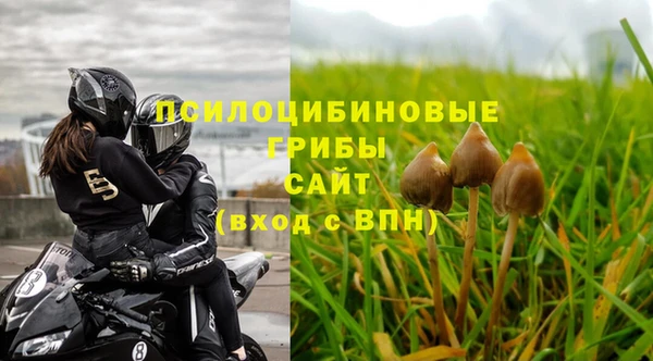ECSTASY Белокуриха