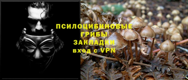 дживик Беломорск