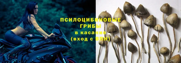 мет Сафоново