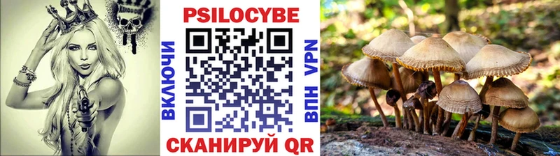 цены наркотик  Дорогобуж  Галлюциногенные грибы GOLDEN TEACHER 